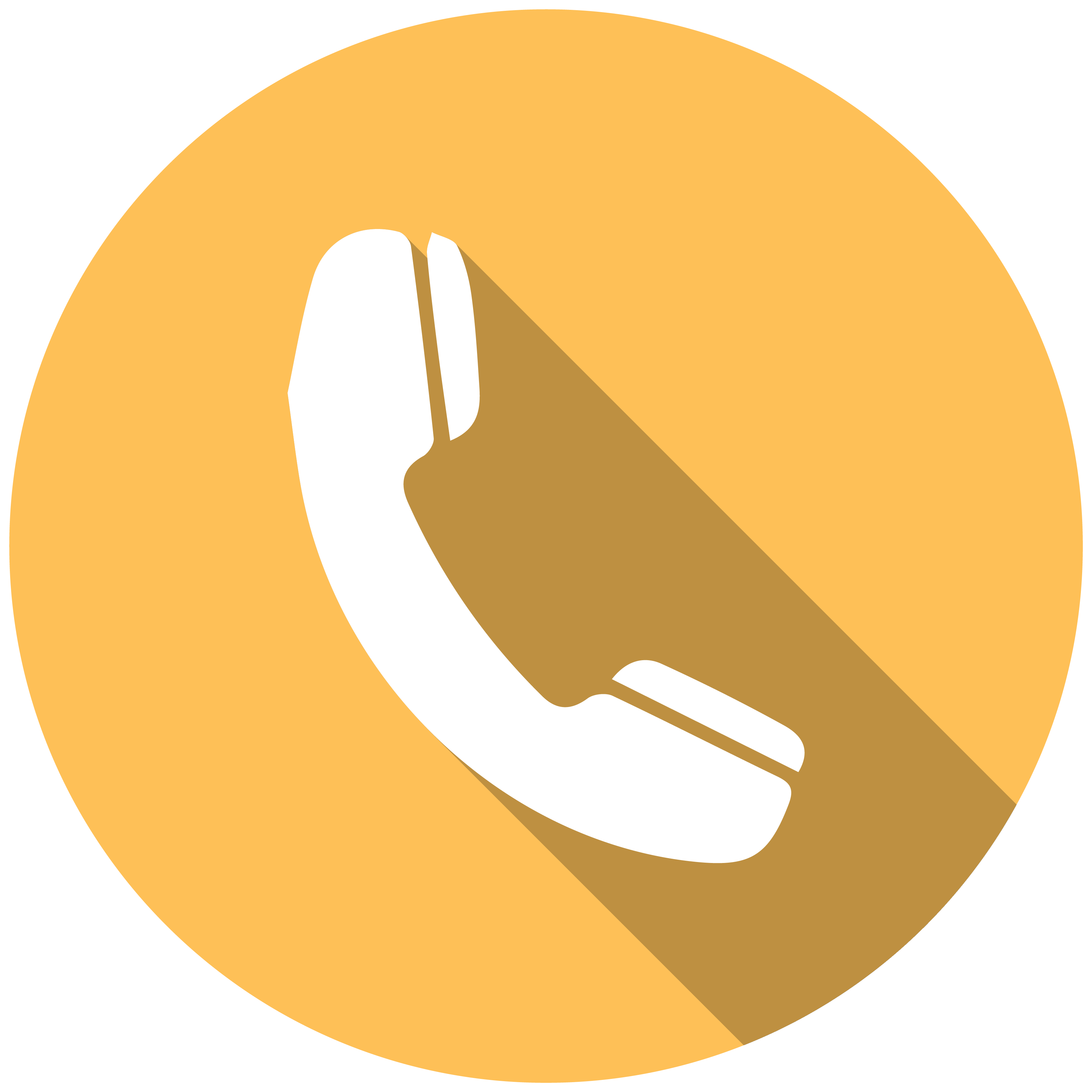 Phone Icon